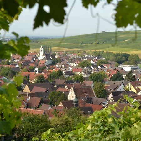 Ferienwohnung Schneckental Pfaffenweiler Kültér fotó