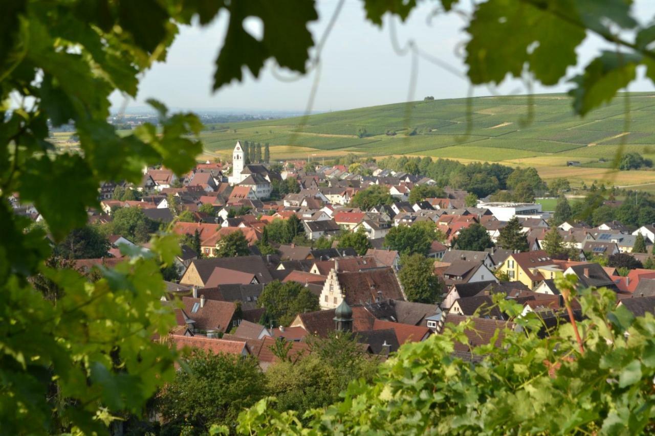 Ferienwohnung Schneckental Pfaffenweiler Kültér fotó